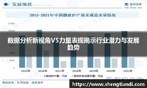 数据分析新视角V5力量表现揭示行业潜力与发展趋势