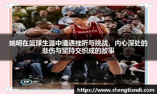 金年会体育官网