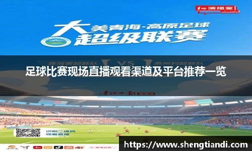 足球比赛现场直播观看渠道及平台推荐一览